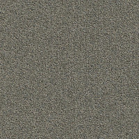 Ковровая плитка Modulyss Millennium Nxtgen Millennium Nxtgen 817 фото 1 | FLOORDEALER